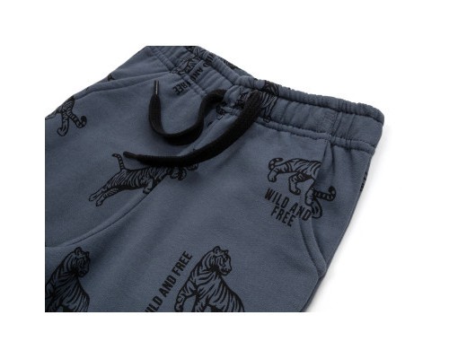 Штани дитячі Breeze спортивні на флісі (16694-104B-gray)