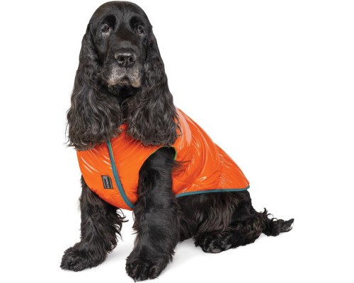 Жилет для тварин Pet Fashion 