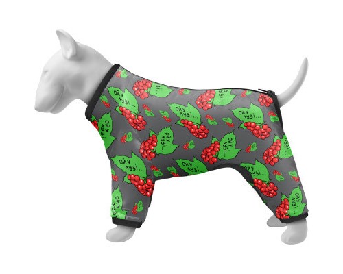 Дощовик для тварин Collar WAUDOG Clothes Калина XS25 В 36-38 см, С 26-28 см (5325-0228)