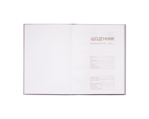 Щоденник шкільний ZiBi City В5 48 аркушів (ZB.13805)