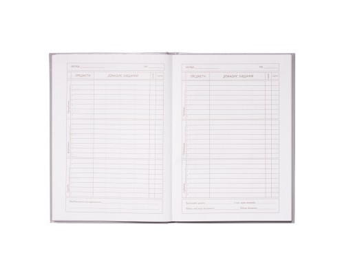 Щоденник шкільний ZiBi City В5 48 аркушів (ZB.13805)