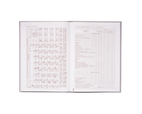 Щоденник шкільний ZiBi City В5 48 аркушів (ZB.13805)