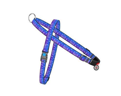Шлея для собак WAUDOG Nylon з QR-паспортом 