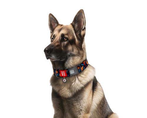 Нашийник для тварин WAUDOG Nylon з QR паспортом 