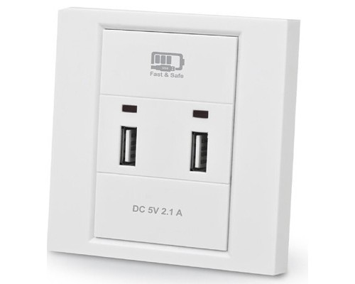 USB розетка REAL-EL Розетка USB (CW-202) 