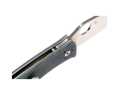Ніж Spyderco Polestar (C220GPGY)