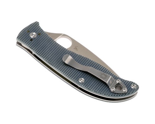 Ніж Spyderco Polestar (C220GPGY)