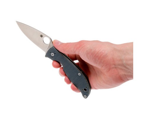 Ніж Spyderco Polestar (C220GPGY)