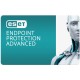 Антивірус Eset PROTECT Advanced з локал. управл. 23 ПК на 3year Business (EPAL_23_3_B) 
