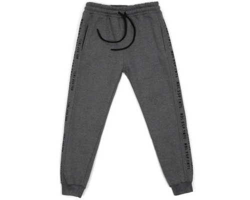 Штани дитячі Joi спортивні флісові (B-404-158B-gray)