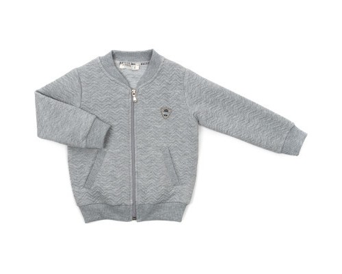 Кофта дитяча Breeze на блискавці (18292-104B-gray)