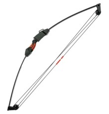 Лук Poe Lang Chameleon Youth Compound 10 LBS Black (CO-017B)