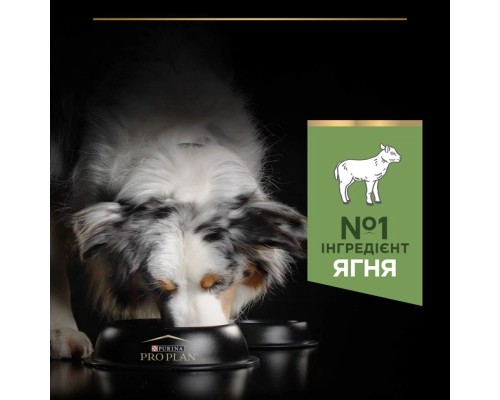 Сухий корм для собак Purina Pro Plan Medium з чутливим травленням (ягня) 3 кг (7613035214798)