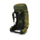 Рюкзак туристичний Osprey Atmos AG LT 65 scenic valley/green peppercorn L/XL (009.3279)