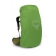 Рюкзак туристичний Osprey Atmos AG LT 65 scenic valley/green peppercorn L/XL (009.3279)