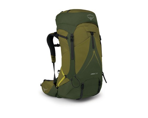 Рюкзак туристичний Osprey Atmos AG LT 65 scenic valley/green peppercorn L/XL (009.3279)