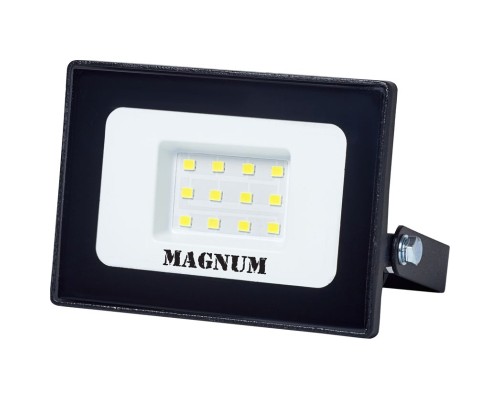 Прожектор MAGNUM FL12 ECO LED 10Вт slim 6500К IP65 (90018080)