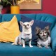Футболка для тварин Pet Fashion Flora L біла з квітковим принтом (4823082441457)