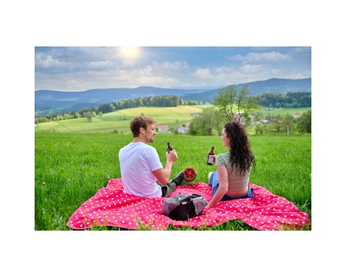 Вентилятор Einhell GC-CF 18/110 Li-Solo (3408061)