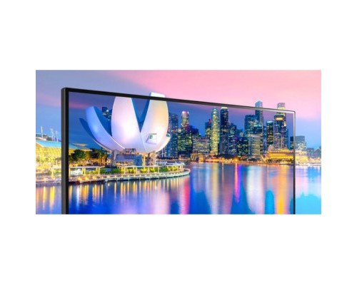 Монітор LG 29WP500-B