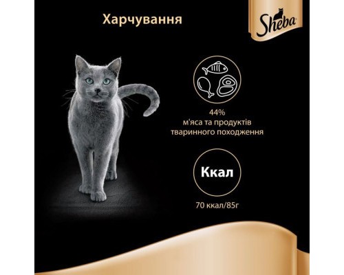 Вологий корм для кішок Sheba cig POU з домашньою птицею в соусі 85 г (4770608257293)
