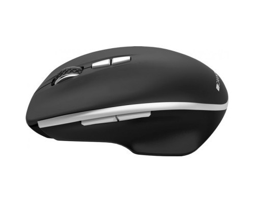 Мишка Canyon MW-21 Wireless Blue LED Black (CNS-CMSW21B)
