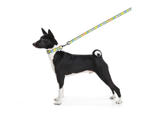 Повідок для собак WAUDOG Nylon 