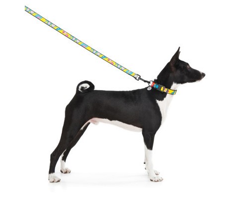 Повідок для собак WAUDOG Nylon 