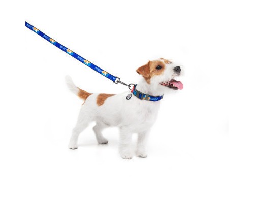 Нашийник для тварин WAUDOG Nylon з QR паспортом 