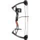Лук Poe Lang Buster Split Limbs 15-29 LBS Black (CO-034B)