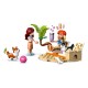 Конструктор LEGO Friends Собачі пригоди на серфі та скутері (42641)
