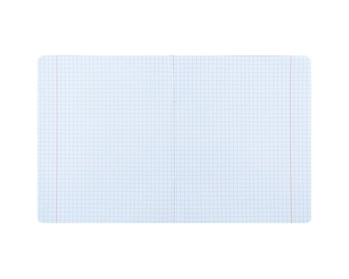 Зошит Kite Ninja Turtles, 18 аркушів, клітинка (NT24-236)