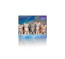 Килимок для мишки Voltronic Five Cats (YT-CAT30)
