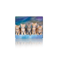 Килимок для мишки Voltronic Five Cats (YT-CAT30)