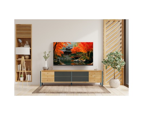 Телевізор Ergo 43JFS6800