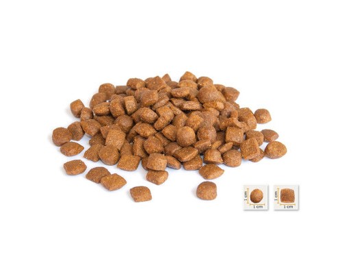 Сухий корм для кішок BonaCibo Adult Cat Chicken&Rice with Anchovy 5 кг (8694686405642)