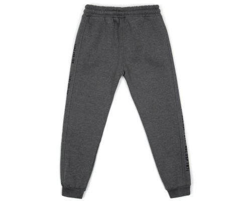 Штани дитячі Joi на флісі (B-404-170B-gray)