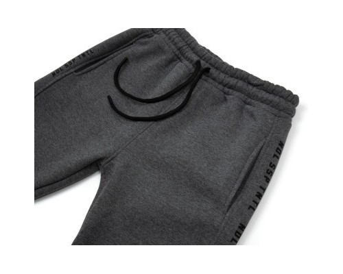 Штани дитячі Joi на флісі (B-404-170B-gray)
