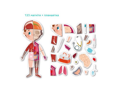 Настільна гра DoDo Магнітна Тіло (200220)