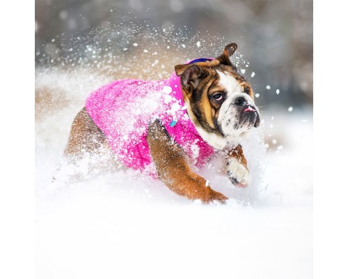 Курточка для тварин Airy Vest двостороння М 45 фіолетово-рожева (1578)