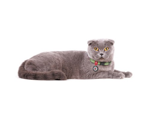 Нашийник для тварин WAUDOG Re-cotton з QR паспортом для котів та дрібних порід собак XS салатовий (16405)