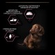Сухий корм для собак Purina Pro Plan Small&Mini Puppy Sensitive Skin з лососем 3 кг (7613035123809)
