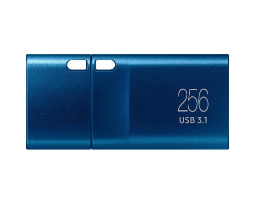 USB флеш накопичувач Samsung 256GB USB 3.2 Type-C (MUF-256DA/APC)