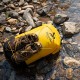Гермомішок Naturehike -рюкзак NH21FSB04 20л жовтий (6927595788196)