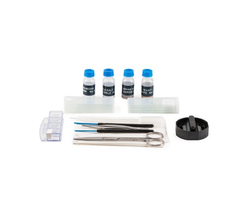 Мікроскоп Sigeta Unity PRO 40x-640x LED Mono (65248)