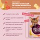 Вологий корм для кішок Delickcious Смужки з лососем та сиром в крем-супі 85 г (4820269141803)