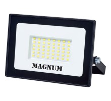 Прожектор MAGNUM FL12 ECO LED 30Вт slim 6500К IP65 (90018083)