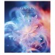 Зошит Школярик Macro world 48 аркушів клітинка (048-3427K)