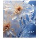 Зошит Школярик Macro world 48 аркушів клітинка (048-3427K)