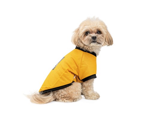 Футболка для тварин Pet Fashion Jessica XS жовта (4823082441297)